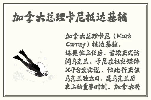 仙踪林官方网址仙踪林免费